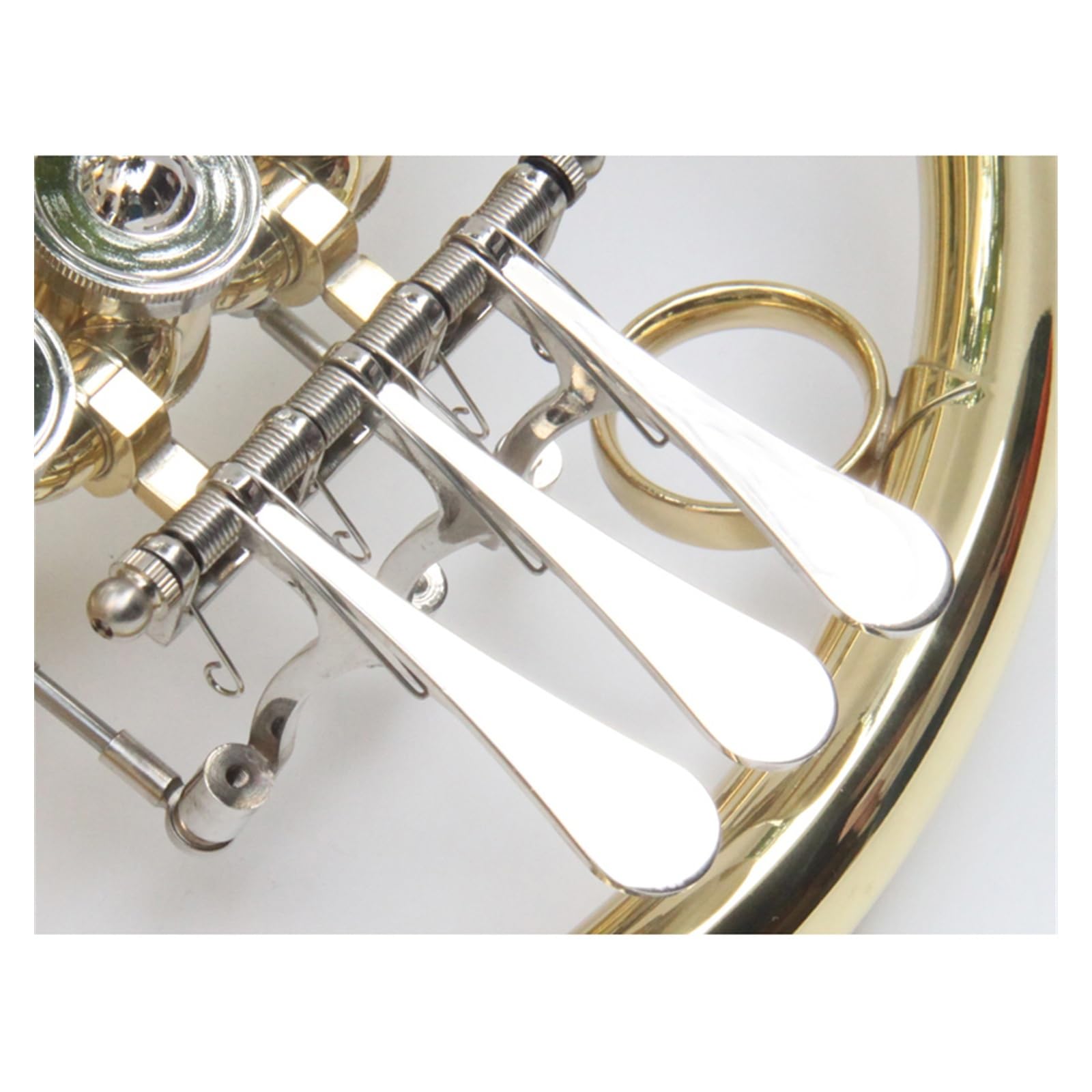 Amazon | 真鍮ラッカー仕上げのゴールドボディフレンチホルンF管